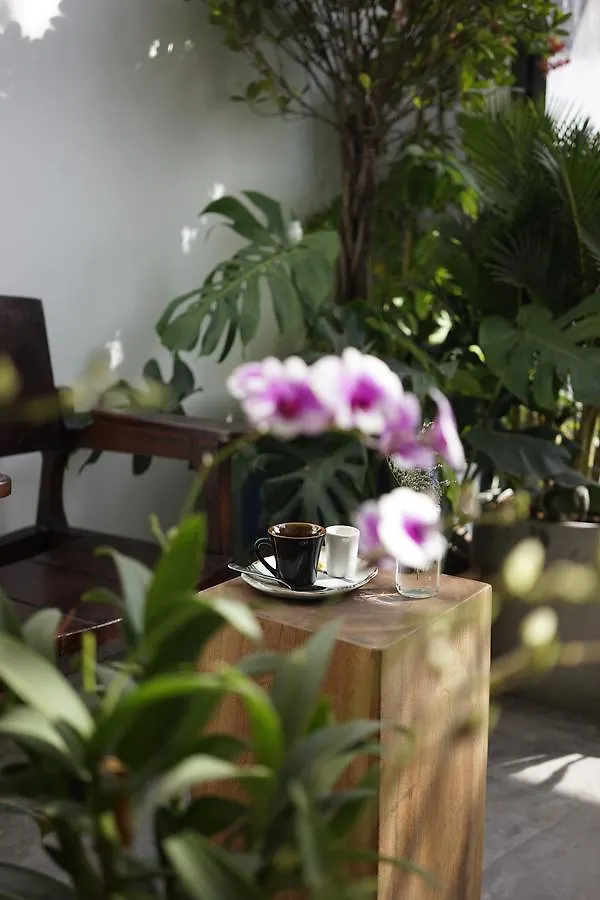 Homestay Inn Cafe Ho Chi Minh City Vietnam